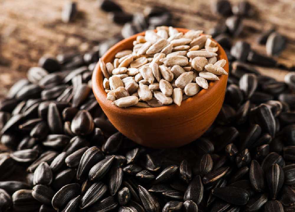 تخمه آفتاب گردان سیاه؛ ریز شمشیری کله قوچی پوسته ترد شکننده