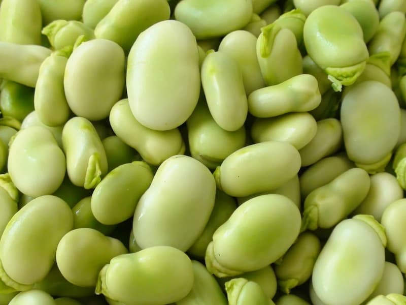 باقلا سبز منجمد؛ حاوی فیبر مواد مغذی ویتامین (A C)