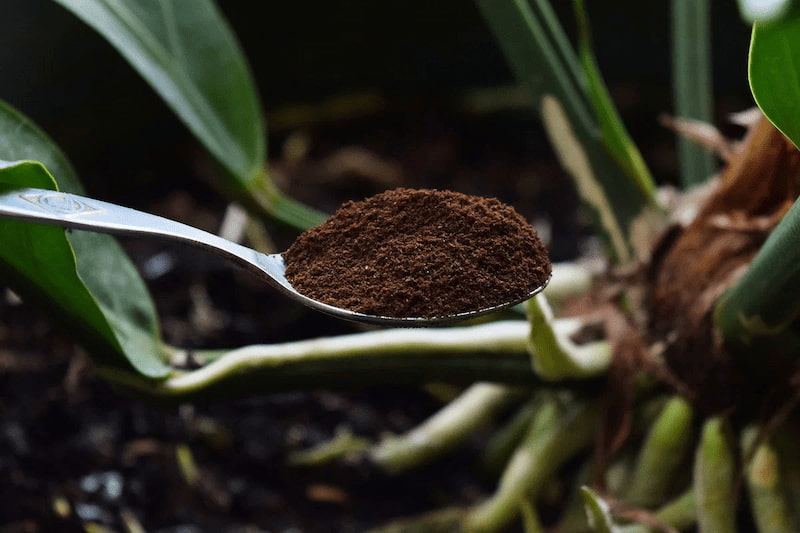 کود آلی میکرو پارس؛ حیوانی گیاهی میوه ای بسته بندی بهداشتی Fertilizer