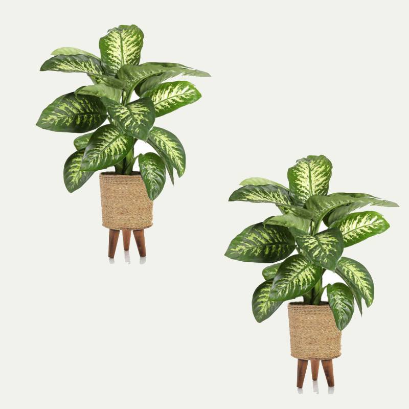 گلدان حصیری پایه دار؛ استوانه ای جنس چوبی استیل 2 رنگ کرم قهوه ای