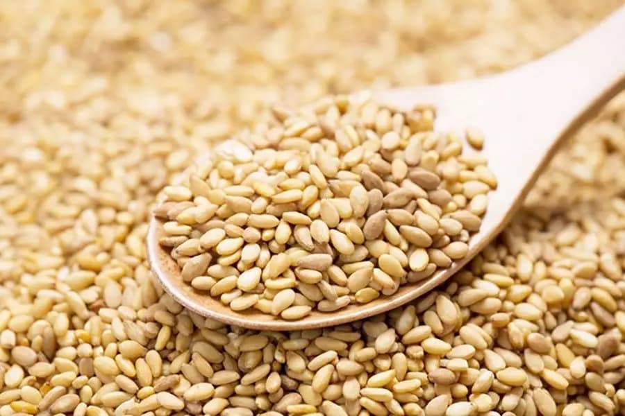 کنجد در تبریز؛ عسلی سیاه سفید دارای پروتئین املاح معدنی Sesame