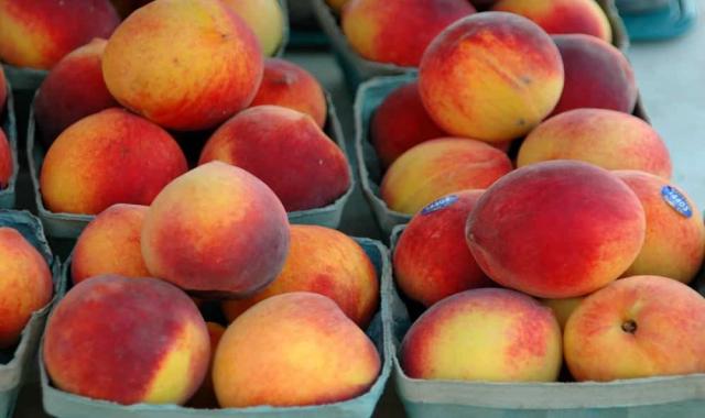 هلو تره بار؛ بافت گوشتی نرم رنگ صورتی مناسب انواع شیرینی دسر Peach