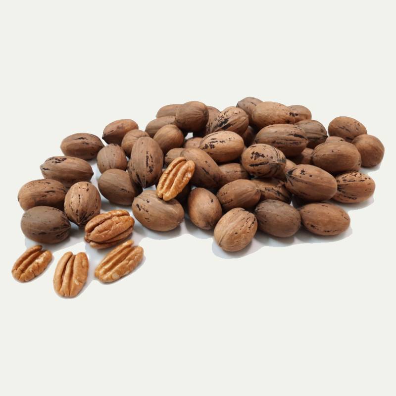 گردو امریکایی در دبی؛ قهوه ای بیضی شکل کاهش وزن درمان دیابت