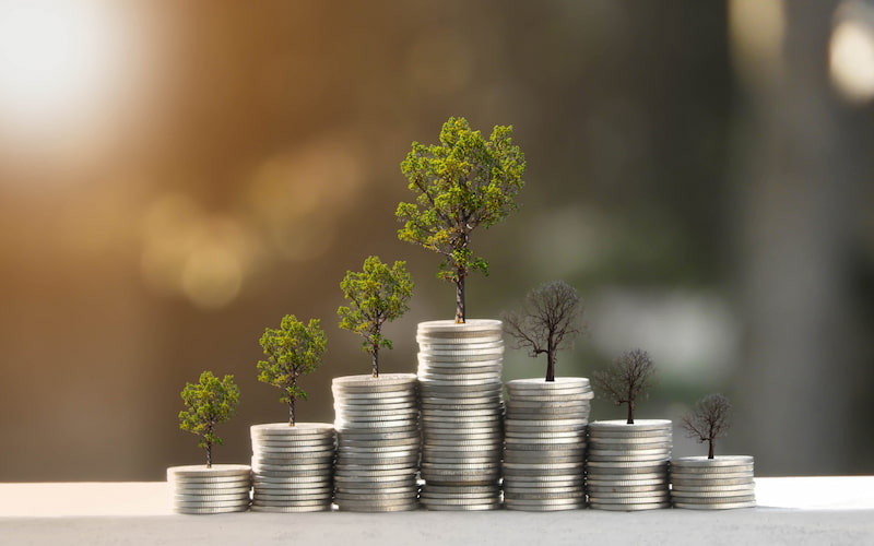 مدیریت پول و سرمایه گذاری