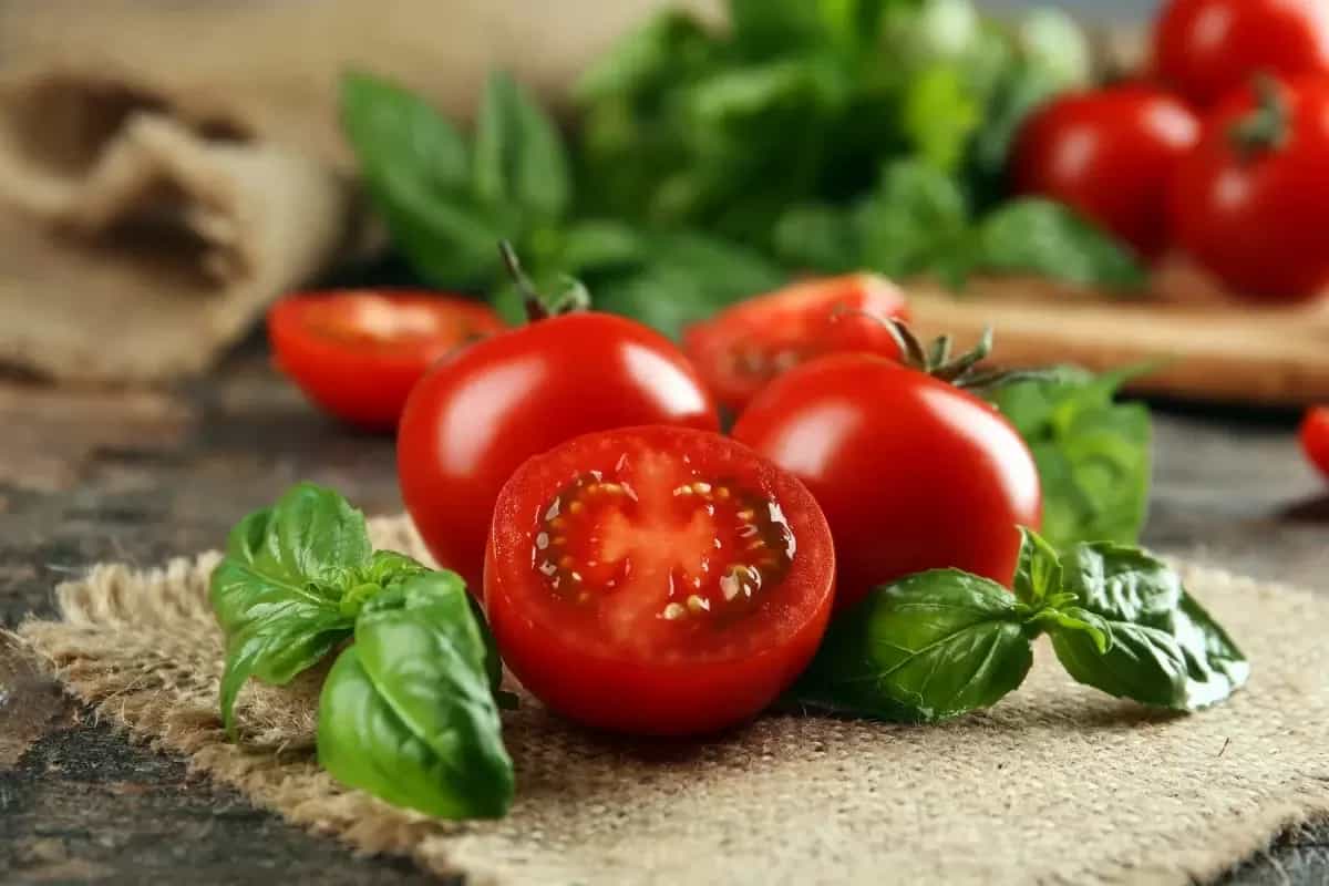 گوجه گلخانه ای امروز؛ فاقد لک ویتامین (C A B) منیزیم پتاسیم Tomato