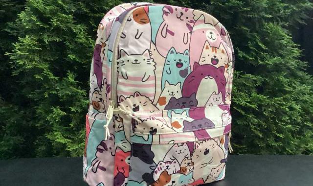 کیف مدرسه دخترانه جدید؛ چرخی کوله ای 2 طرح کارتونی ساده سه زیب