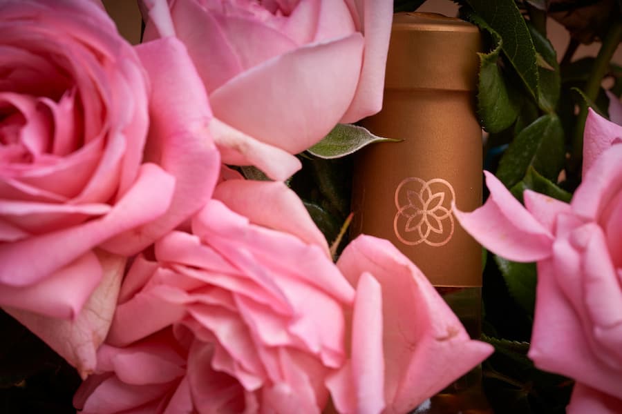 گل محمدی تازه تبریز؛ درمان اضطراب افسردگی تقویت سیستم ایمنی گوارشی