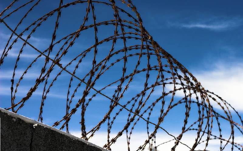 سیم خاردار در شیراز؛ مفتول گالوانیزه محافظ لبه دیوار