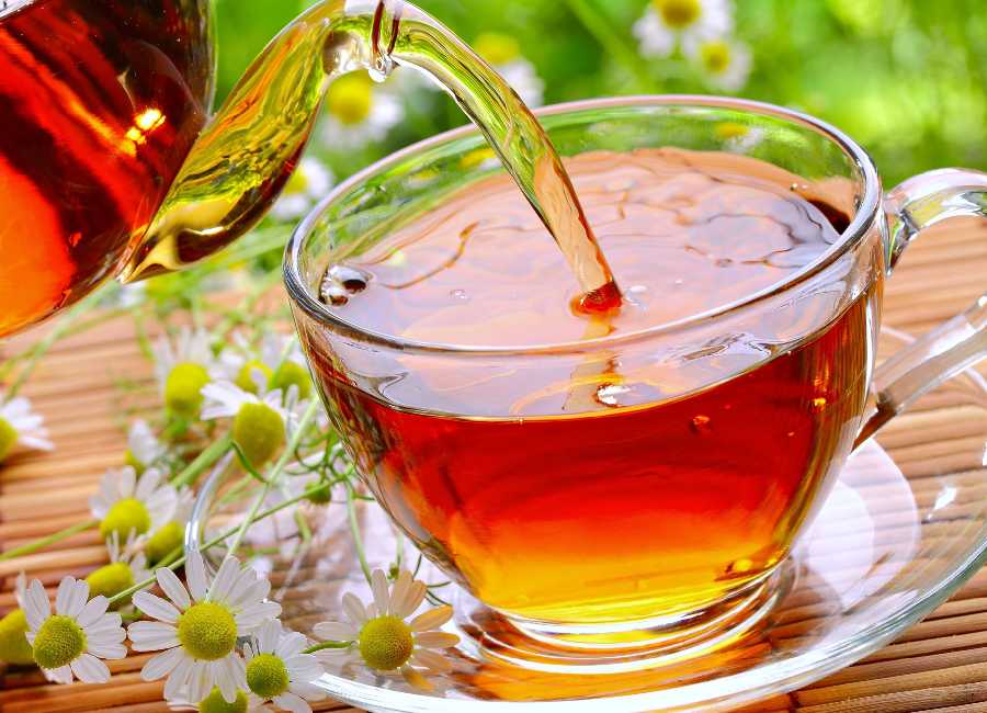 چای هل بلوط؛ معطر درمان لاغری سوخت ساز بدن وزن 500 900 گرمی