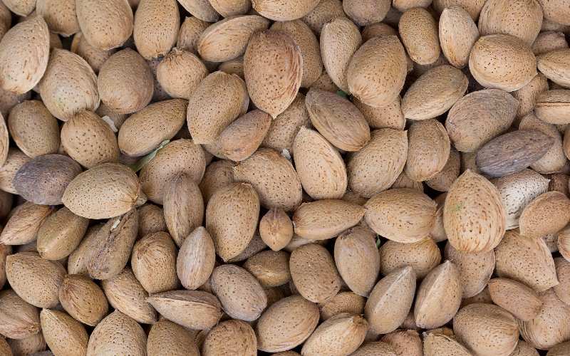 بادام درختی سنگی 1401؛ تازه ارگانیک پوسته سفت ویتامین E