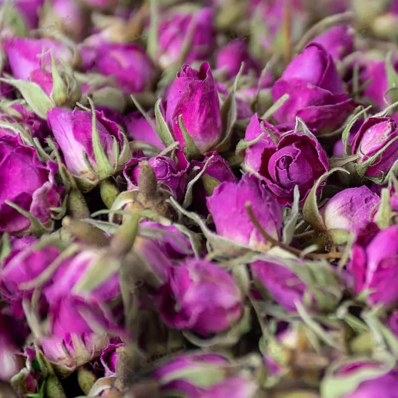 گل محمدی غنچه خشک؛ حاوی پتاسیم آهن درمان افسردگی استرس