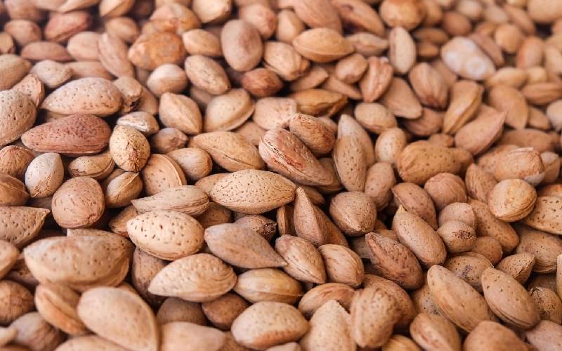 بادام درختی سنگی؛ با پوست طبع (گرم تر) کاهش کلسترول خون چربی سوزی