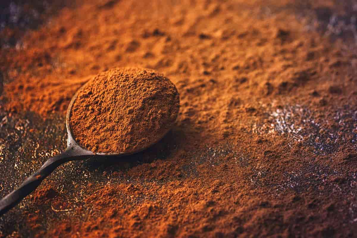 دارچین کوبیده؛ طعم تند تیز تسکین درد عضلانی ضد آلزایمر Cinnamon