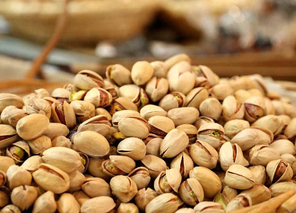 پسته مشهد؛ کله قوچی بادامی فندقی 2 مدل شور خام