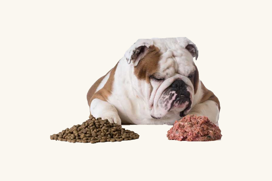 کنسرو سگ ارزان؛ طعم گوشت مرغ سبزی حاوی پروتئین ویتامین 800 گرمی