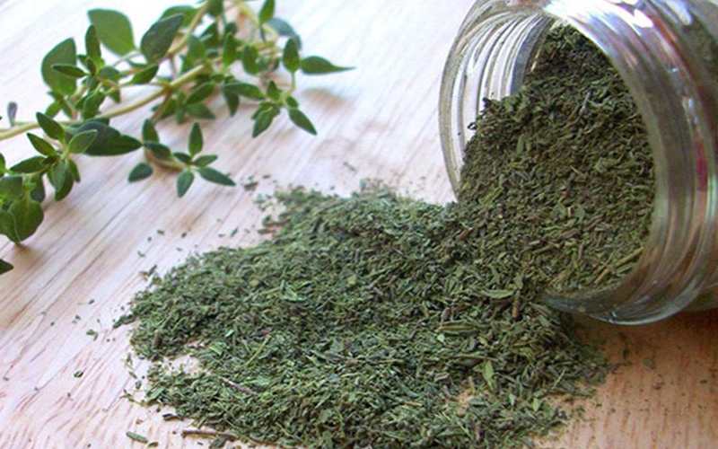 آویشن آسیاب شده؛ خشک پودری طبع گرم درمان معده