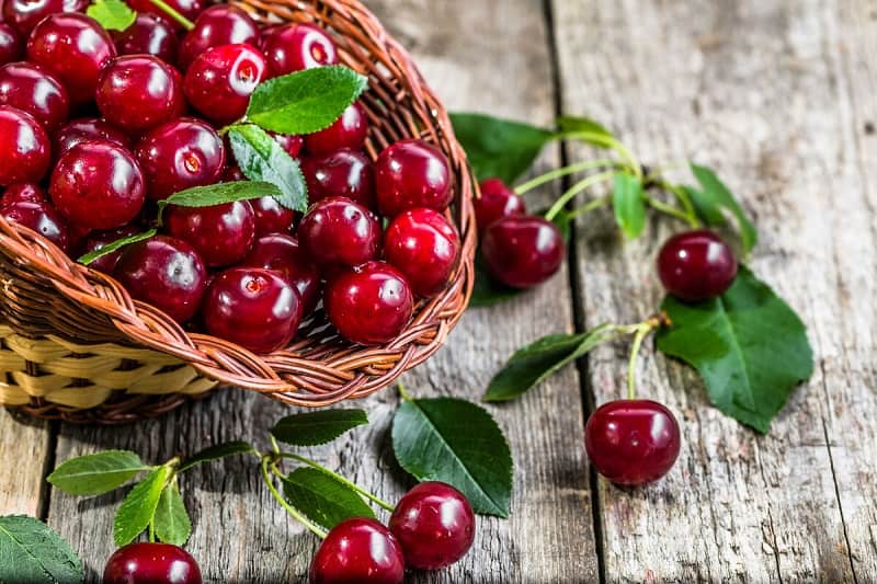 آلبالو در بازار شیراز (میوه سردسیری) تازه خشک منجمد درمان سرما خوردگی کنترل وزن