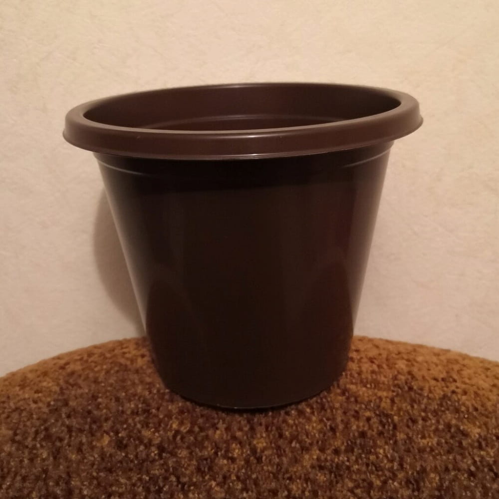 گلدان پلاستیکی سایز 4؛ زرد قرمز سبز مشکی آبی مناسب گیاهان شلفرا سیکاس