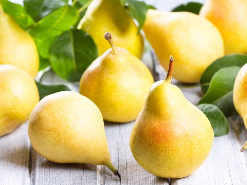 گلابی کیلویی؛ پاکوتاه بیروتی شیرین آبدار زرد رنگ