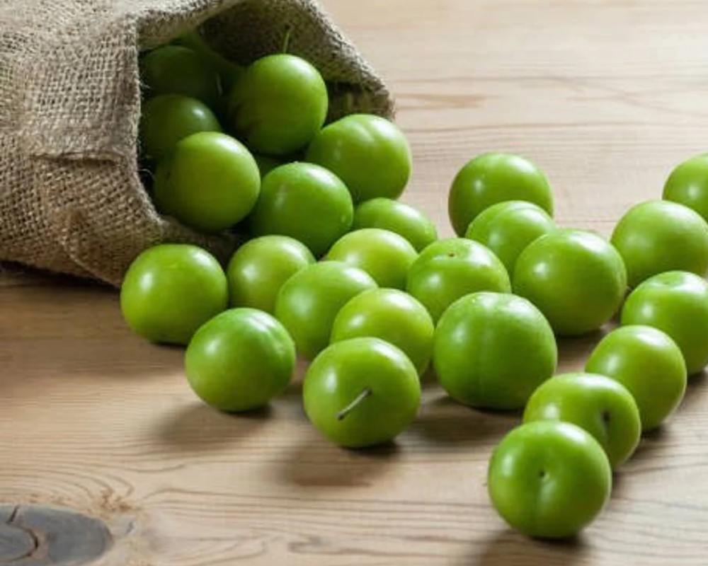 آلوچه سبز در تجریش؛ گوشت سفت ترد طبع ( سرد تر) حاوی آهن