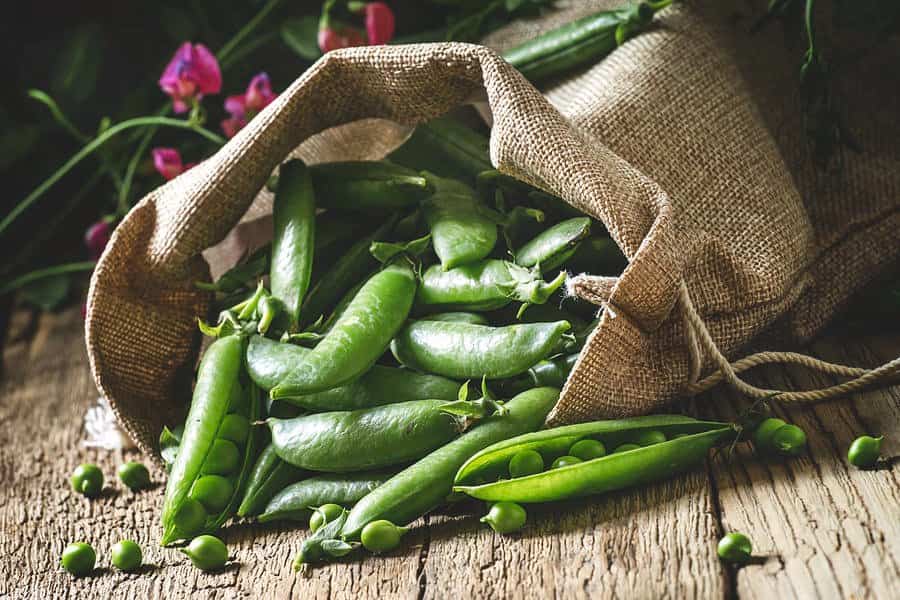 نخود فرنگی با پوست؛ پخته خام کاهش قند خون درمان دیابت