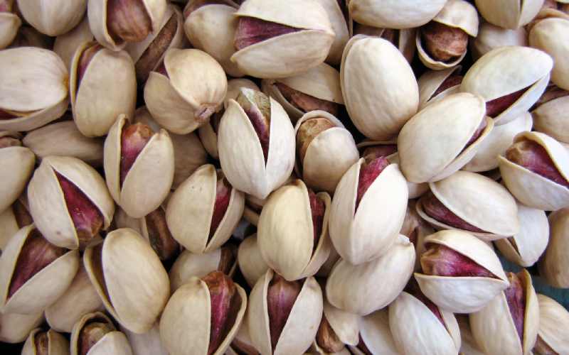 پسته خشک فندقی؛ گرد کوچک حاوی ویتامین A C تقویت سیستم ایمنی بدن