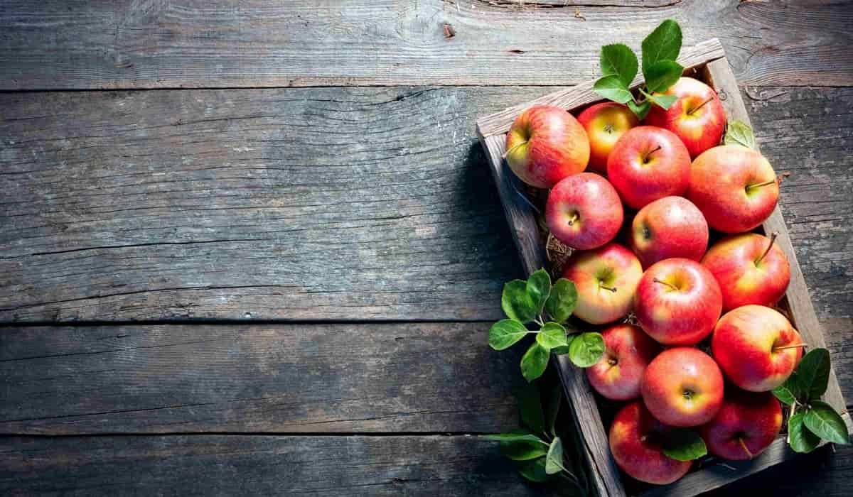 سیب سمیرم؛ زرد قرمز گرد حاوی ویتامین A C درمان آلزایمر