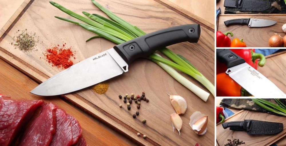 چاقو ارزان؛ میوه خوری شکاری لبه دار پهن نازک مناسب گوشت (مرغ گاو گوسفند)