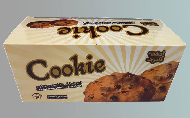 کلوچه نادری کوکی؛ شکلاتی کاکائویی نارگیلی مغز (کشمش گردو)