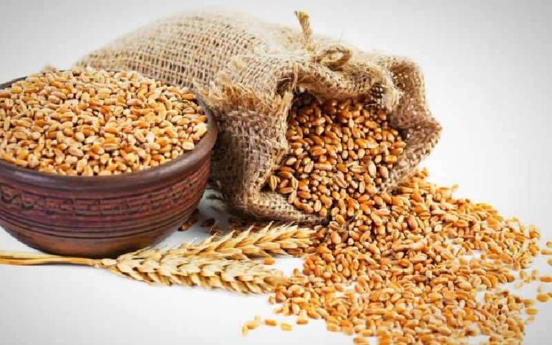 گندم امروز تبریز؛ سبوس شکسته آرد نان حلیم ویتامین B