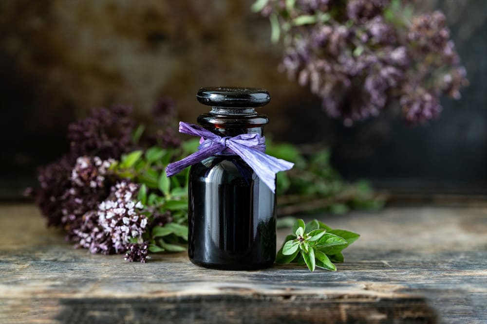 پونه کوهی قرمز؛ معطر ضد قارچ درمان سرفه سرما خوردگی