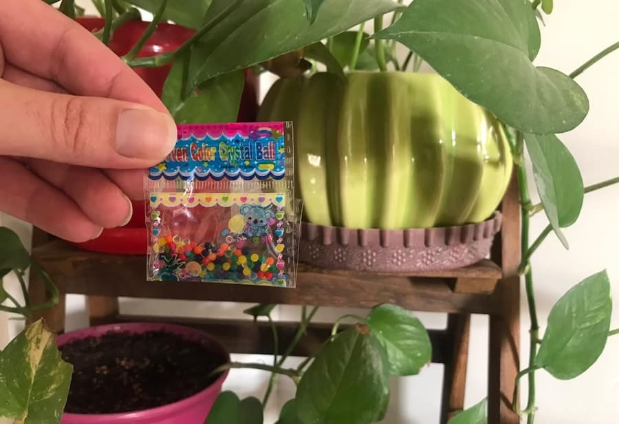 خاک ژله ای؛ پودری مکعبی 2 کاربرد گیاهان آپارتمانی کشت سبزیجات jelly soil