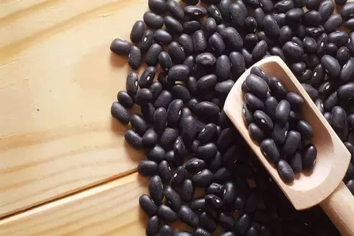 لوبیا سیاه در تهران (حبوبات) طبع گرم حاوی فیبر آهن رفع کم خونی