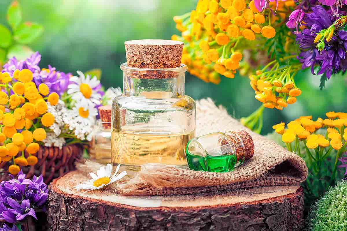 عرقیات ضد سرفه؛ مایع شفاف معطر 50 نوع گیاه درمان سرفه خشک خطی