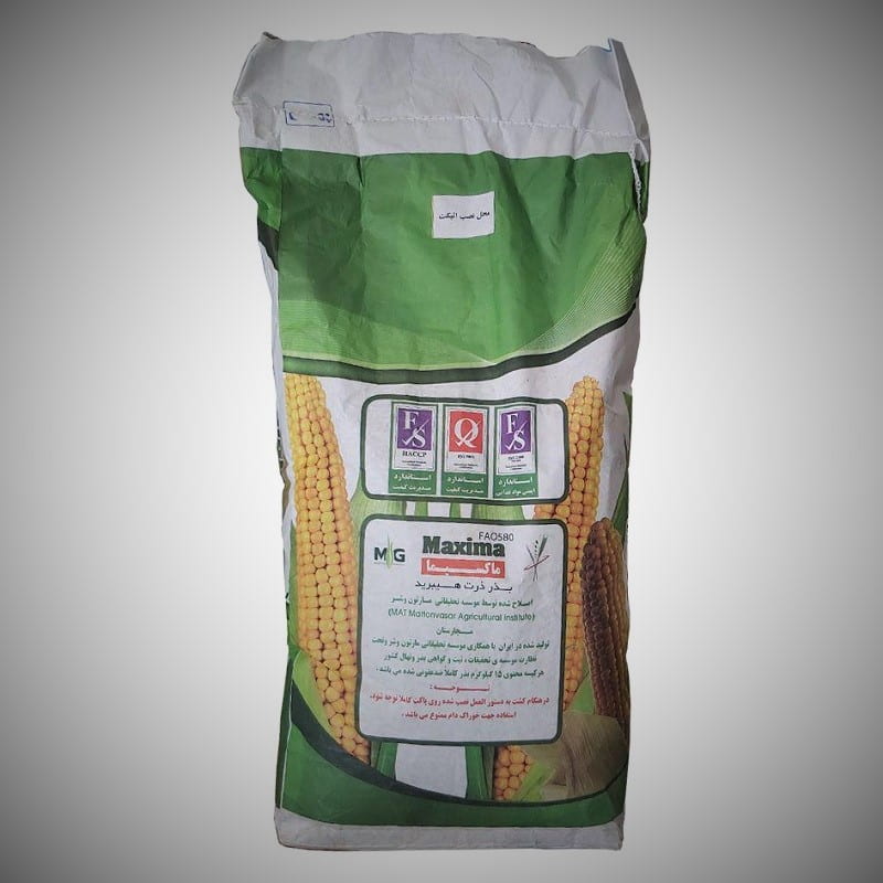 ذرت علوفه ای ماکسیما؛ دندان اسبی جوانه زنی اولیه 2 کشور Iran Hungary