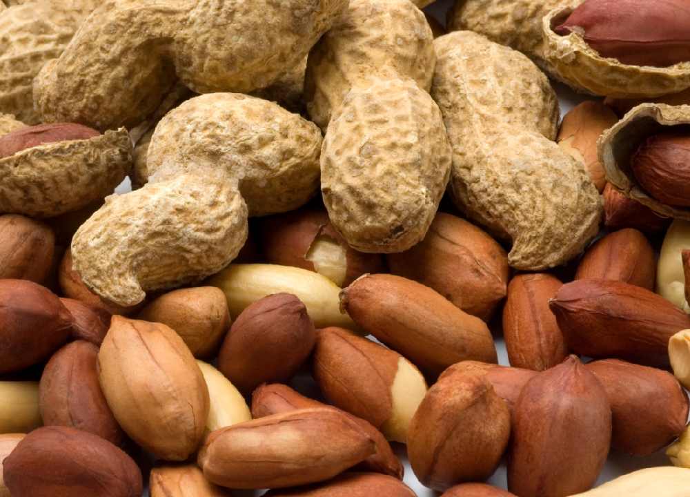بادام زمینی درجه یک آستانه؛ بو داده خام دانه درشت تقویت حافظه