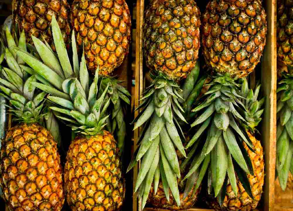 آناناس در بازار امروز؛ میوه استوایی گلخانه ای حاوی ویتامین (C D B6)