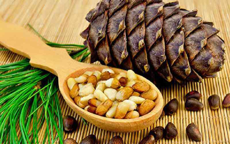 میوه خشک جلغوزه؛ سلامت پوست مو کاهش بیماری قلبی حاوی ویتامین B1 B2