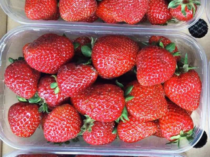 توت فرنگی بسته ای؛ حاوی ویتامین C بسته بندی (200 500) گرمی