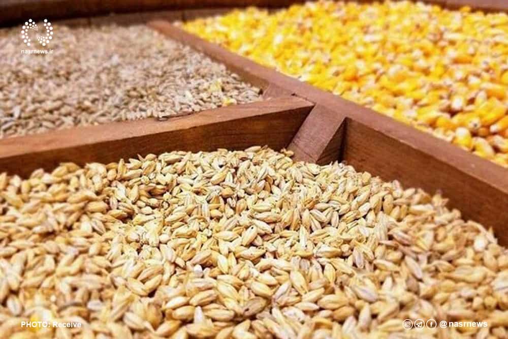 سویا خوراک دام؛ دانه ریز درشت حاوی اسید آمینه پروتئین