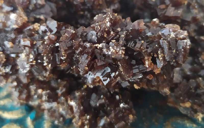 نبات سوخته؛ طبع گرم ضد نفخ قوی تقویت ماهیچه