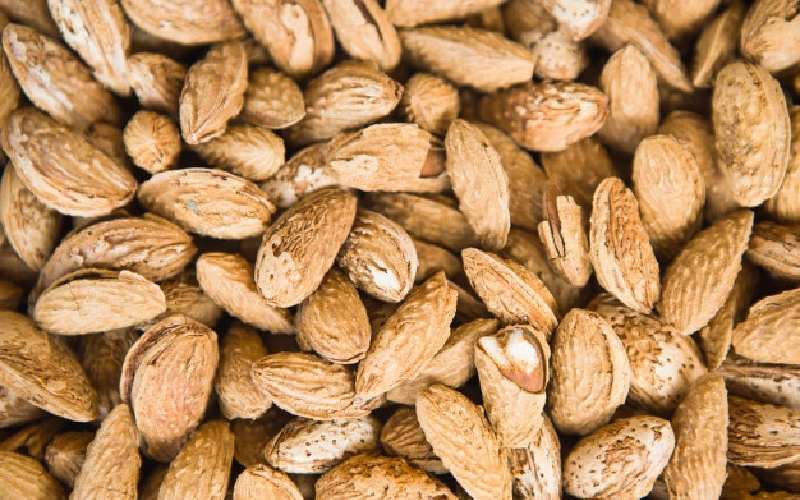 بادام شور ایرانی؛ حاوی کلسیم پتاسیم تقویت استخوان دندان