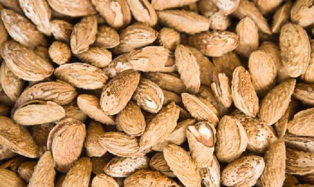 بادام شور ایرانی؛ حاوی کلسیم پتاسیم تقویت استخوان دندان