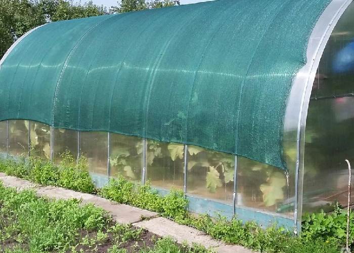 توری سایبان (شید گلخانه) جنس پلی اتیلن پروپلین 3 رنگ سبز آبی قرمز