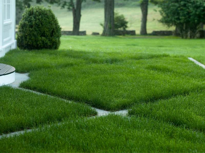 چمن مصنوعی کرج؛ نخ پروپلین پلی اتیلن 3 جنس الیاف نایلون پلی اتیلن