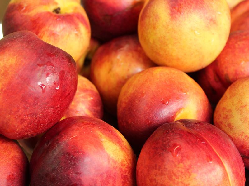 شلیل صادراتی؛ سفید شبرنگ آبدار شیرین حاوی ویتامین (C A)