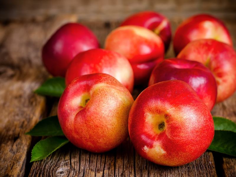 شلیل امروز؛ ردگلد مغان حاوی پروتئین فیبر ارگانیک خوش طعم