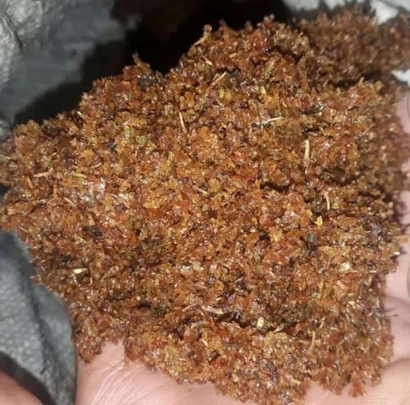 کشمش حلوایی (خشکبار) گوشتی بدون تخم نرم مناسب خوراک دام طیور