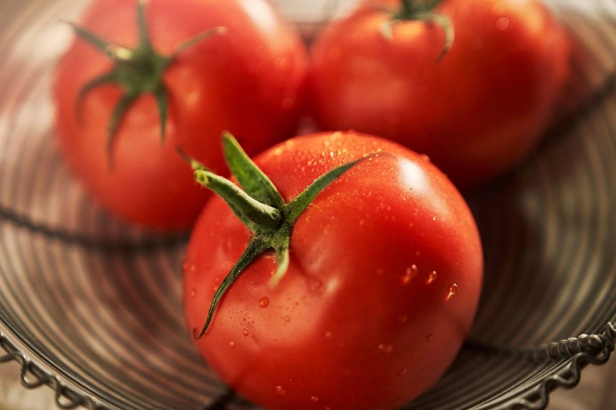 گوجه فرنگی امروز همدان (صیفی جات) گیلاسی زیتونی تخم مرغی طعم ترش شیرین