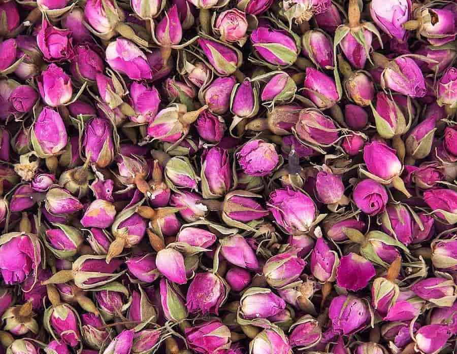 گل محمدی غنچه؛ رنگ (صورتی قرمز) آرامبخش ضد استرس درمان سرفه